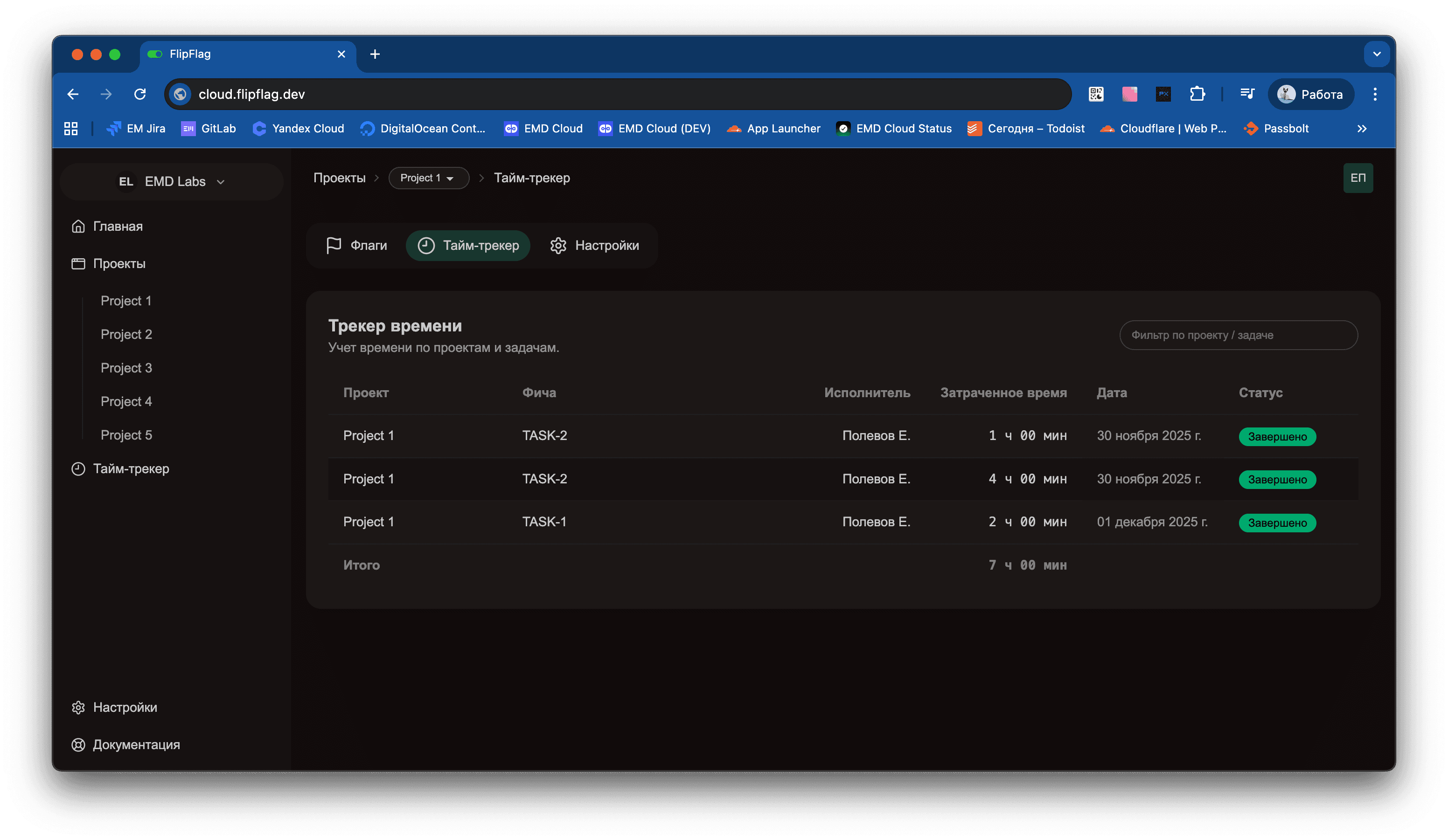 Вид тайм-трекера в проекте